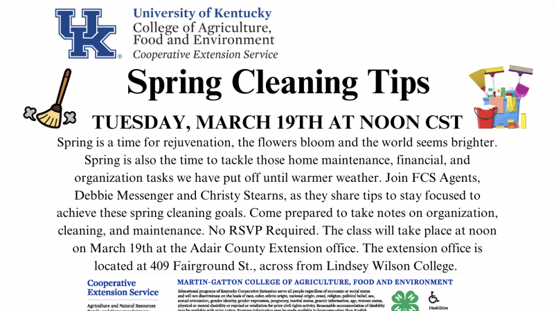 Spring Cleaning Flyers