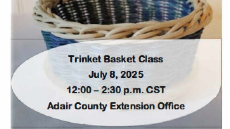 Trinket Basket Class