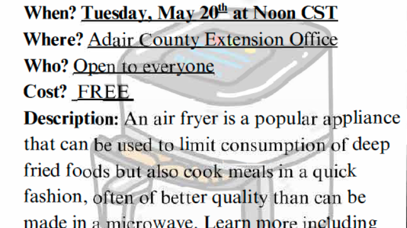 Air Fryer Workshop